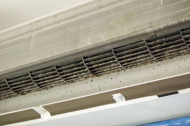 Best Duct Cleaning Specialists  in USA